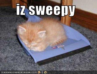 funny-pictures-dustpan-kitten-is-sleepy1