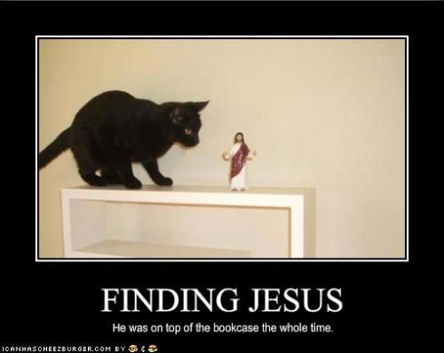 funny-pictures-your-cat-has-found-jesus